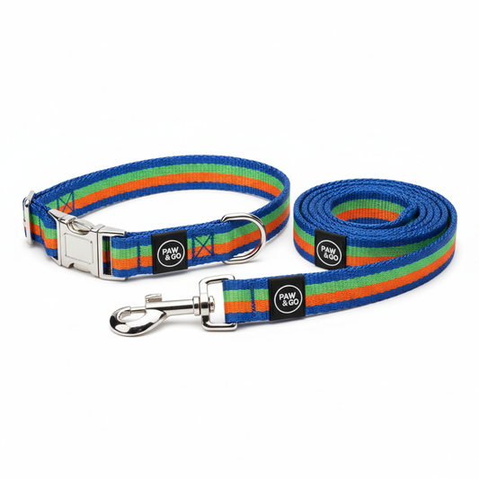 Pet Collar & Leash Set